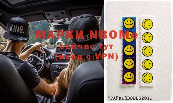 шишки Михайловск