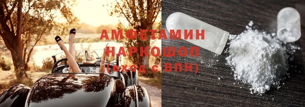 шишки Михайловск